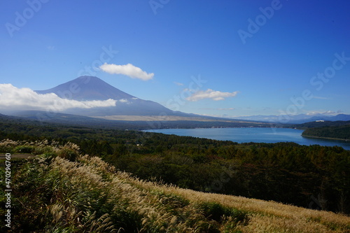 Autumn view with Japanese Pampas Grass or Susuk over Mt. Fuji in Yamanashi, Japan - 日本 山梨県 秋の景色 富士山 山中湖 photo