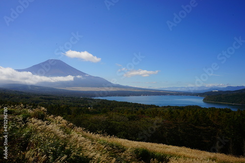 Autumn view with Japanese Pampas Grass or Susuk over Mt. Fuji in Yamanashi, Japan - 日本 山梨県 秋の景色 富士山 山中湖 photo