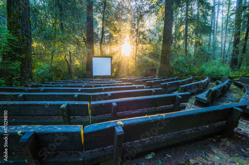 Open-air cinema in the fairy forest. The sun's rays fall through the branches. Outdoor amphitheater at Jedediah Smith. Redwood national and state parks. California, USA