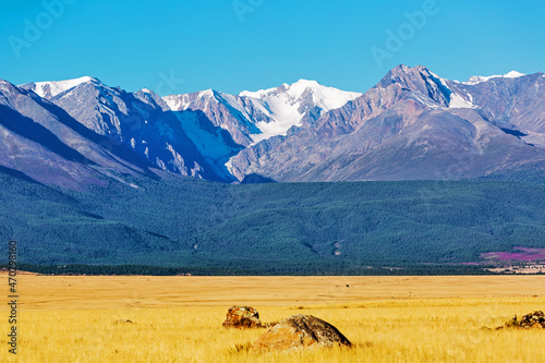 Fototapeta Naklejka Na Ścianę i Meble -  Kurai steppe in the Altai Mountains