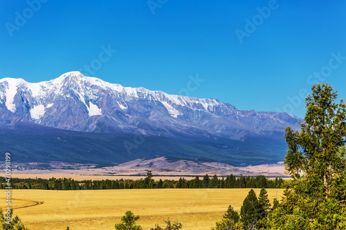 Fototapeta Naklejka Na Ścianę i Meble -  Kurai steppe in the Altai Mountains