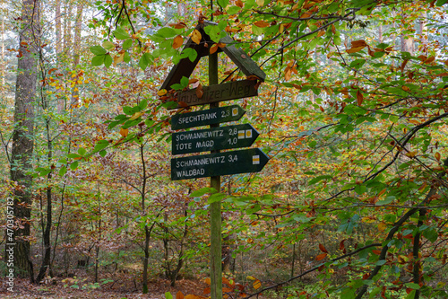 Im Wald, der Natur, zur Freude am Farben, Pflanzen, Bäumen und Jahreszeiten.
In the forest, in nature, to enjoy colors, plants, trees and the seasons