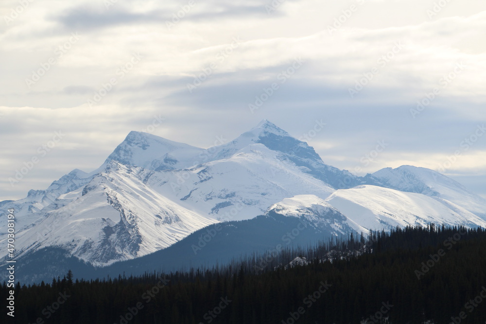 snow covered mountains, Jasper National Park, Alberta