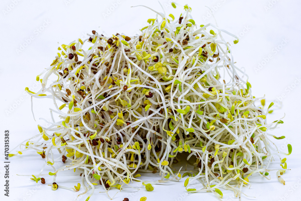 A pile of alfalfa and broccoli sprouts against a white background A pile of alfalfa and broccoli sprouts against a white background