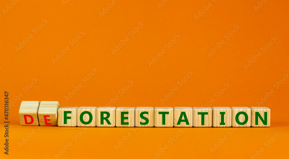 Forestation or deforestaion symbol. Turned wooden cubes and changed the