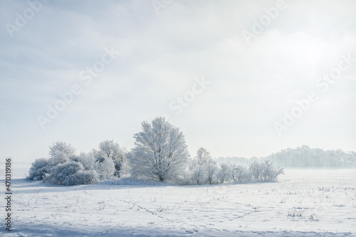 Rural winter landscape covered in snow 
