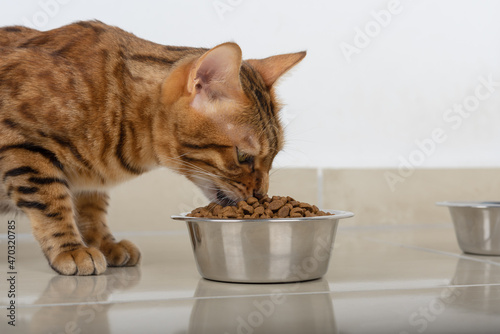 The cat eats food from a bowl of dry food.