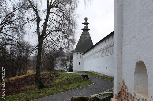 Savvino-Storozhevsky Monastery