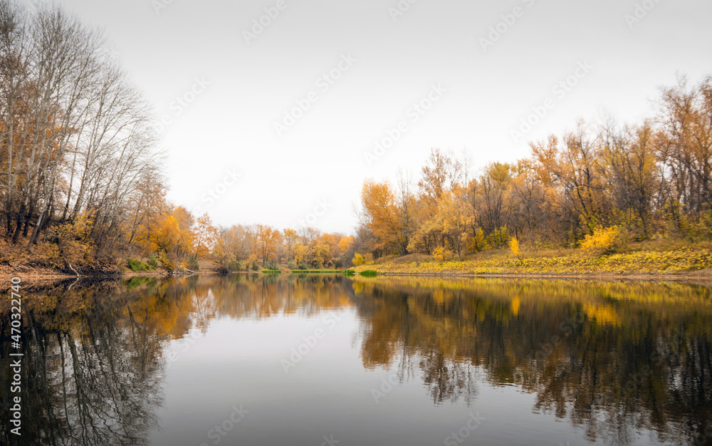 Autumn at pond calm