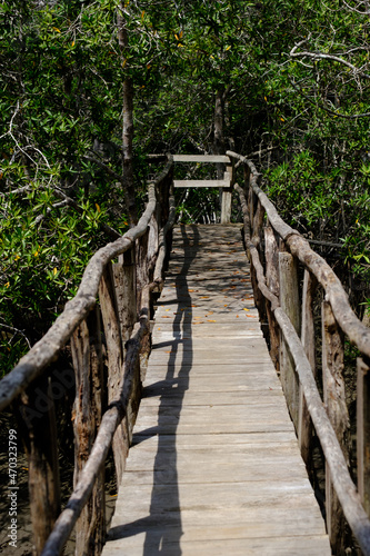Rickety wooden bridge across a alligator infested river in the Cosa Rican Jungle
