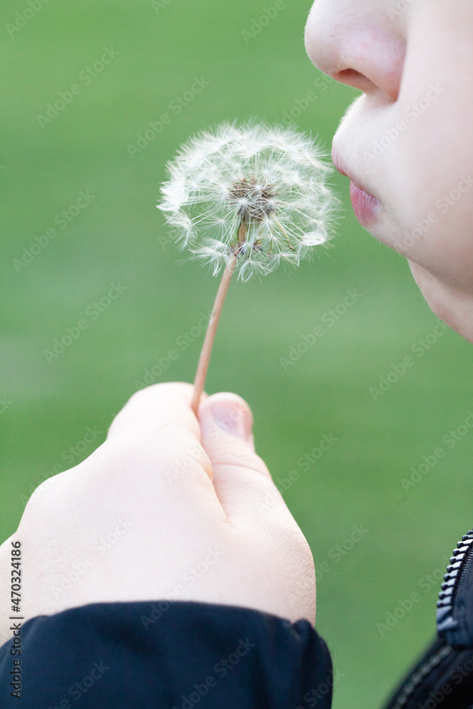 Fototapeta premium Soffiami via