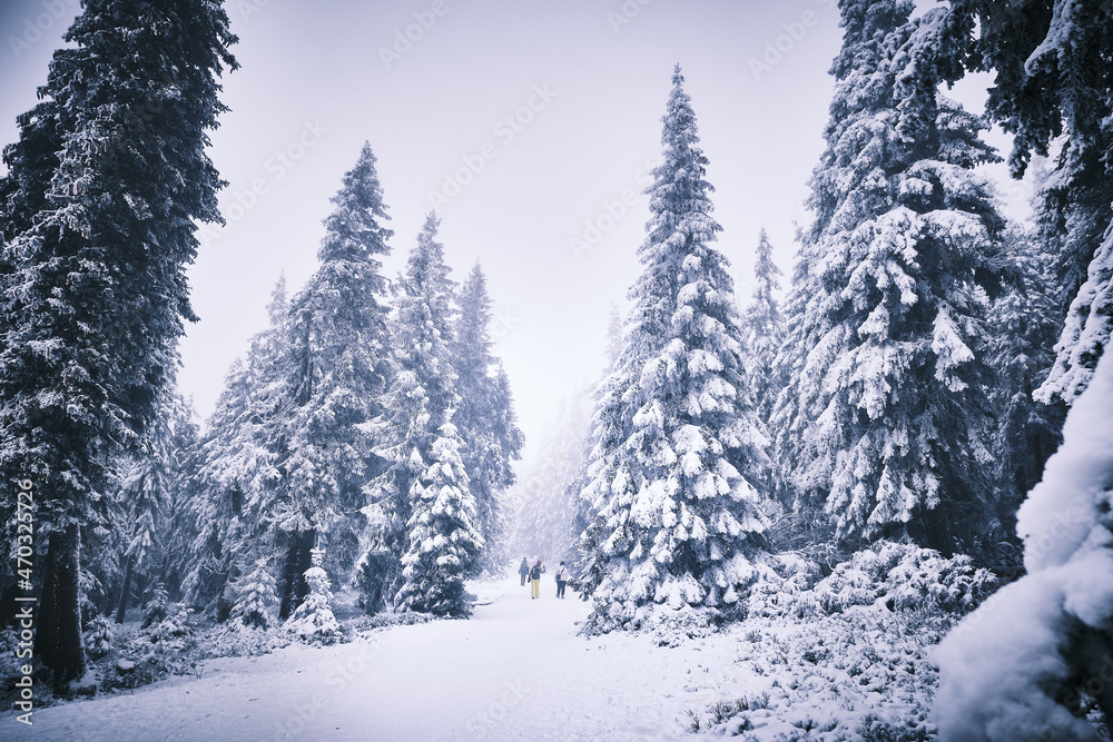 New Year's hike to the highest mountain of the Czech Republic - Sněžka