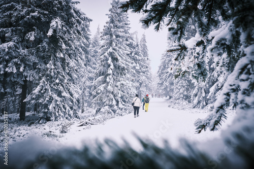 New Year's hike to the highest mountain of the Czech Republic - Sněžka