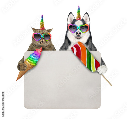 A beige caticorn and a dogicorn husky eat ice cream near a blank sign. White background. Isolated. photo