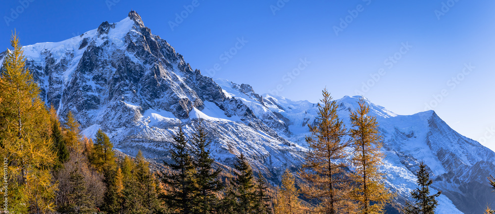 Evergreen trees on background of scenic snowy mountains. Mont Blanc mountain range, Chamonix-Mont-Blanc, France, 2021.Snowcapped mountains and fall trees. Mont Blanc mountain range, Chamonix.