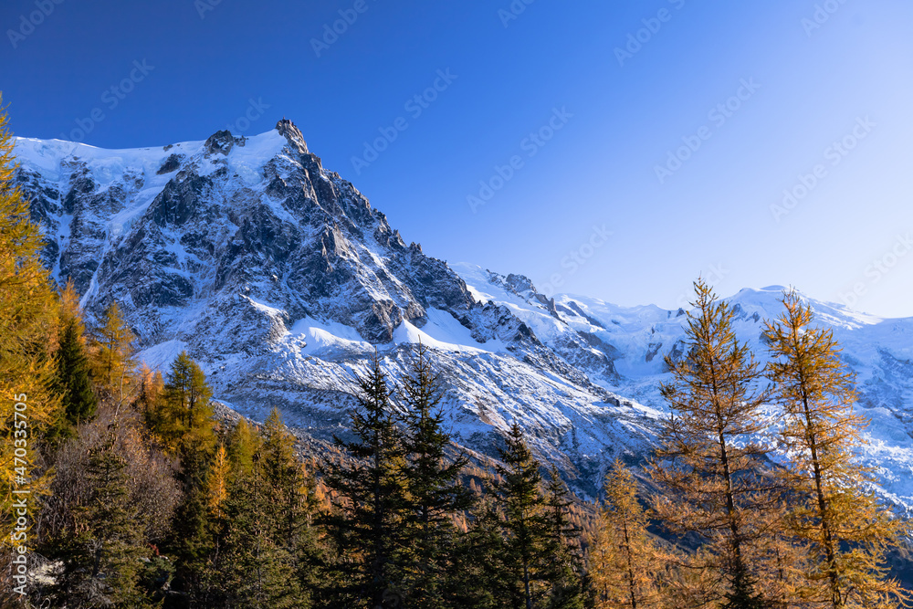 A glacier flowing down a mountain. Plants and trees in the foreground and more jagged rock formations in the background. Mont Blanc mountain range, Chamonix-Mont-Blanc, France, 2021.