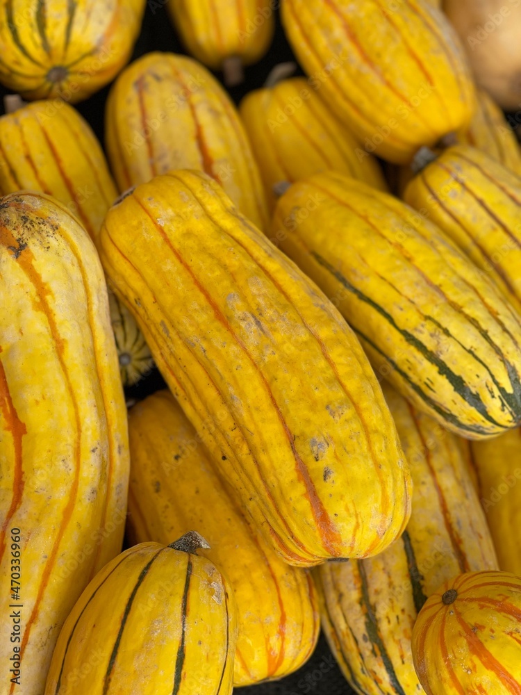 pile of squash
