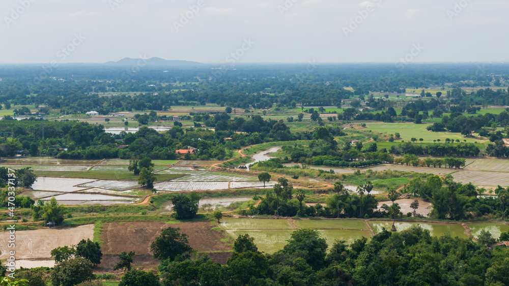 Top view of rice farm in Uthai Thani, Thailand