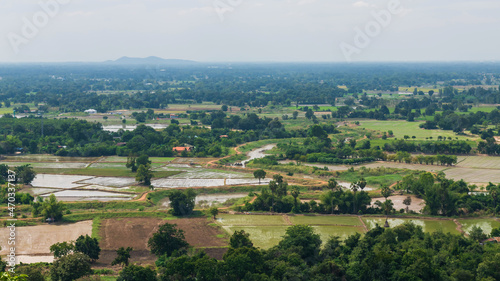 Top view of rice farm in Uthai Thani, Thailand