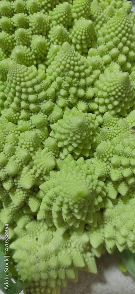 green cabbage