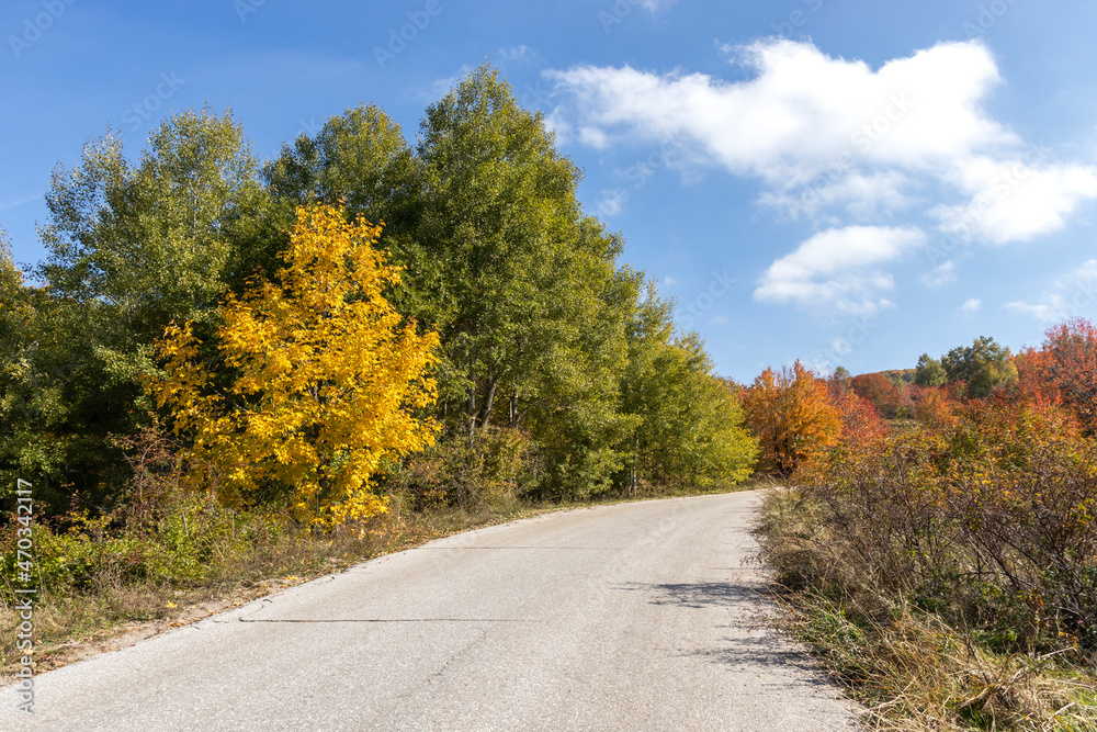 Fototapeta premium Autumn view of Vitosha Mountain, Bulgaria