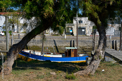 Boat and two tamarisk trees at La Tremblade, a commune in the Charente-Maritime department and Nouvelle-Aquitaine region in south-western France photo