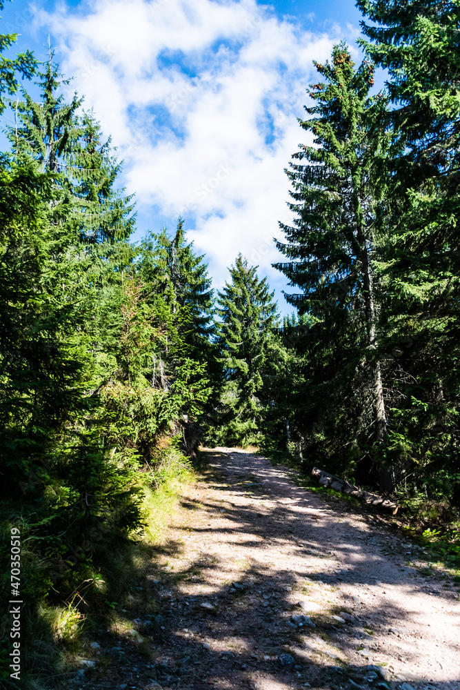 The road to Groapa Ruginoasa, natural reservation in the Apuseni Mountains. Bihor county, Romania.