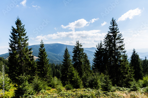 Landscape seen from the road to Groapa Ruginoasa  natural reservation in the Apuseni Mountains. Bihor county  Romania.