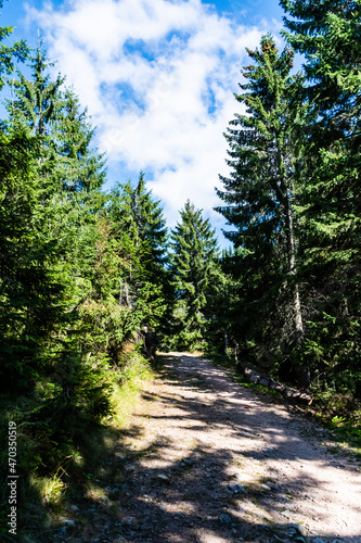 The road to Groapa Ruginoasa, natural reservation in the Apuseni Mountains. Bihor county, Romania.