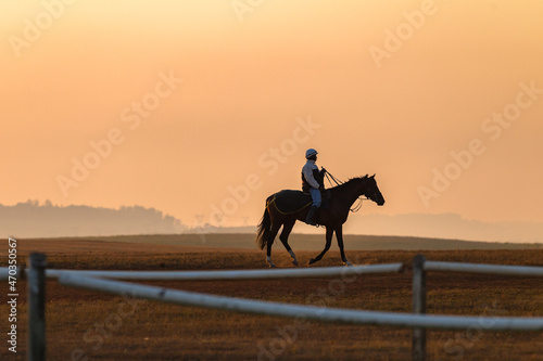 Race Horse training dawn sky with rider silhouetted against orange sky a panoramic lifestyle landscape.