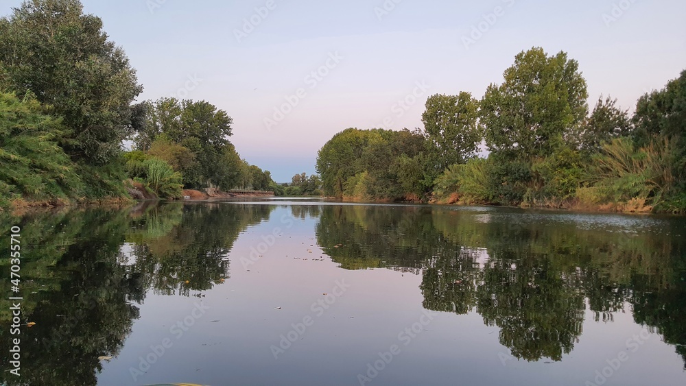 Fototapeta premium lake in the park