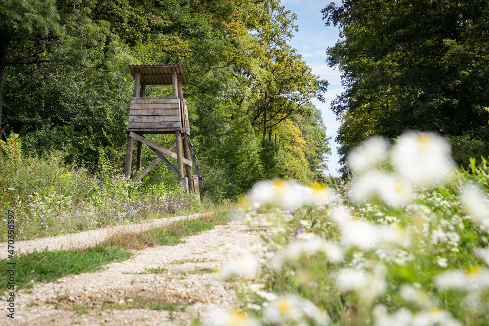 Lonely, wooden hunting tower rising above dirt road passing through ancient hunting grounds of Turopoljski Lug, beautiful forest near city of Zagreb, Croatia Lonely, wooden hunting tower rising above dirt road passing through ancient hunting grounds of Turopoljski Lug, beautiful forest near city of Zagreb, Croatia