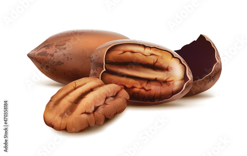 3d realistic vector icon. Pecan nuts in the shell and cracked with nut inside.