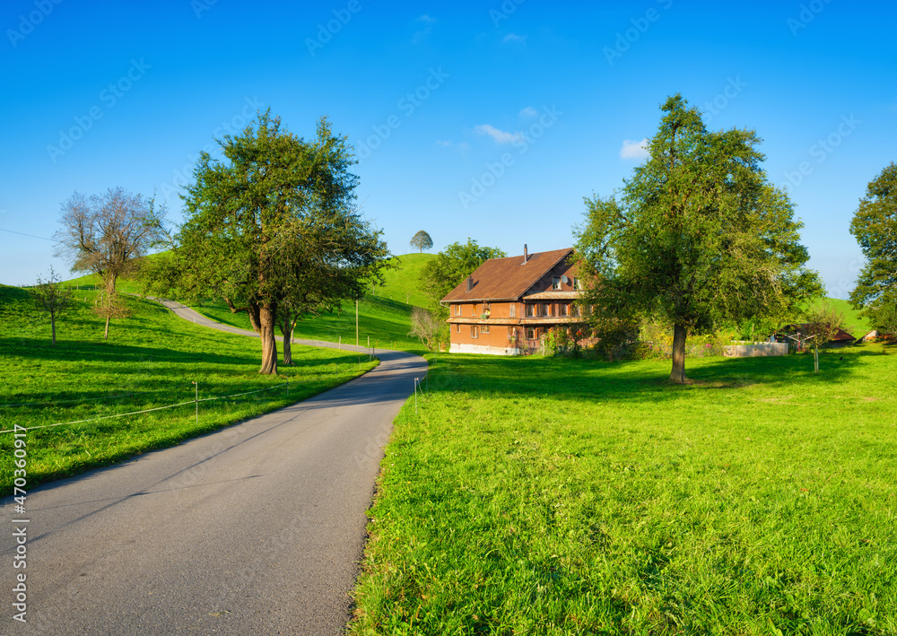 The Swiss countryside. Tree on top of the hill. Fields and pastures. Agricultural landscape in summer time. High resolution photo. The Swiss countryside. Tree on top of the hill. Fields and pastures. Agricultural landscape in summer time. High resolution photo.