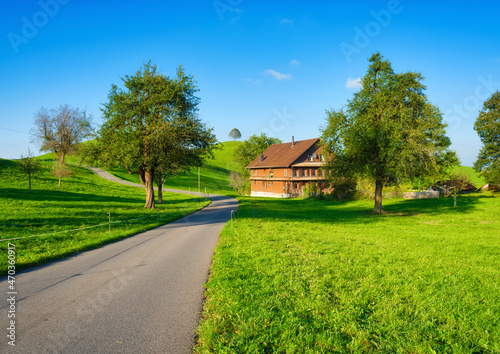 The Swiss countryside. Tree on top of the hill. Fields and pastures. Agricult...