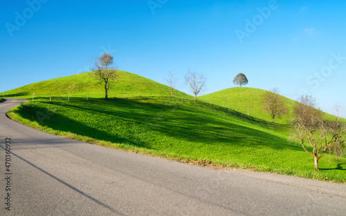 The Swiss countryside. Tree on top of the hill. Fields and pastures. Agricult...