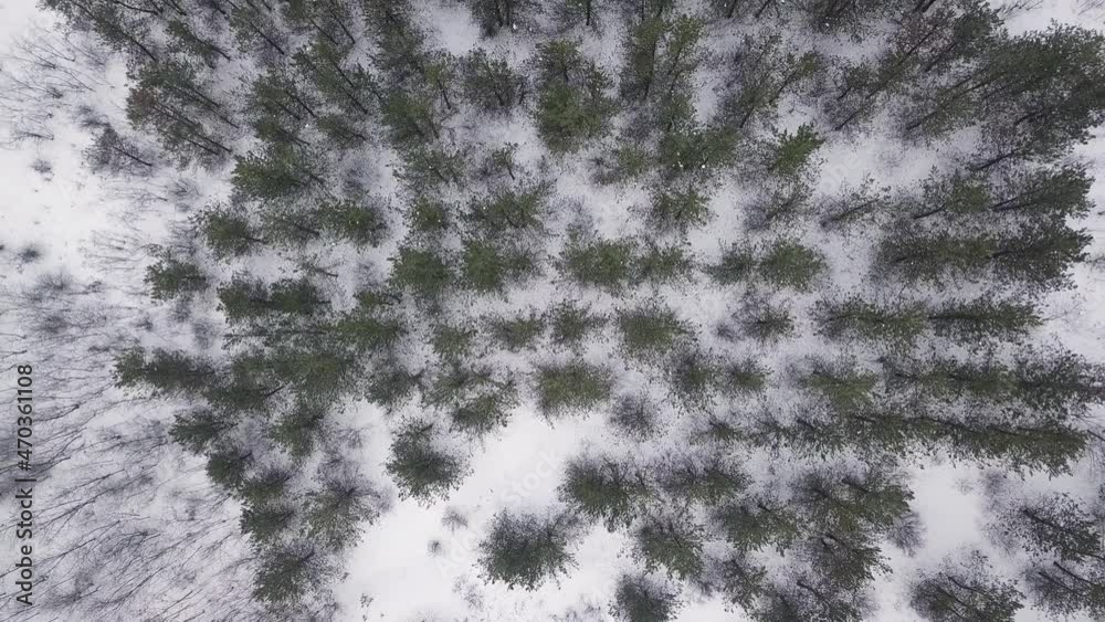 Aerial drone view of a snow covered forest and winter trail. Aerial drone view of a snow covered forest and winter trail.