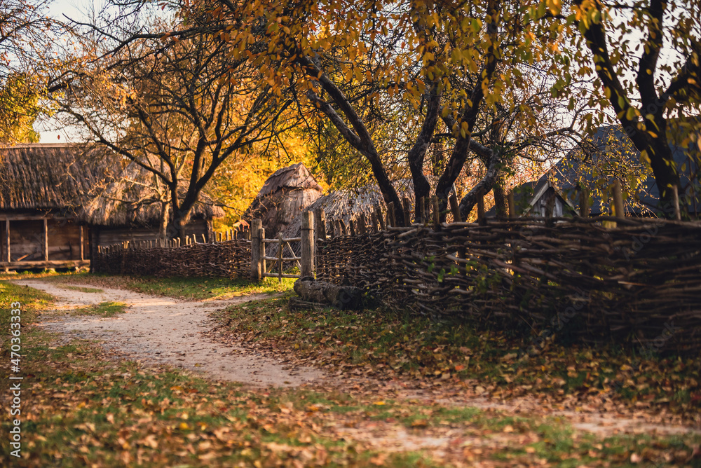 Fototapeta premium autumn in the park