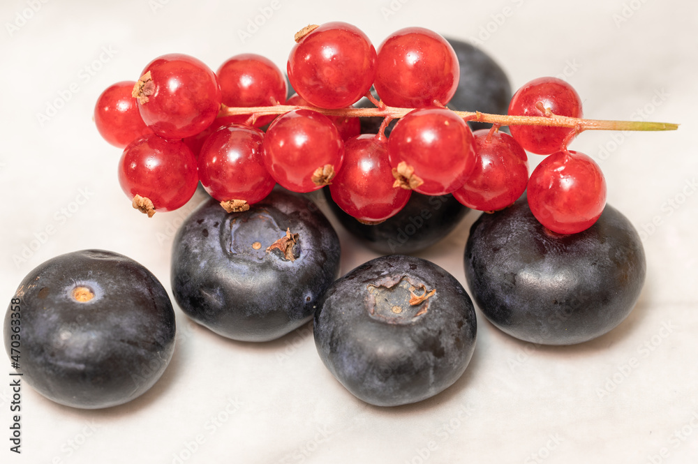 Delicious berries: brush red currant a bluberries on grey background Delicious berries: brush red currant a bluberries on grey background