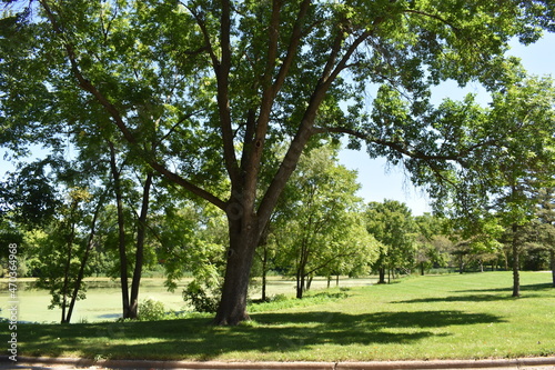 The Lovely Hemenway Park in New Richmond, Wisconsin
