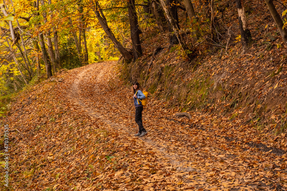 Girl on a path of beautiful trees in autumn on Mount Erlaitz in the town of Irun, Gipuzkoa. Basque Country