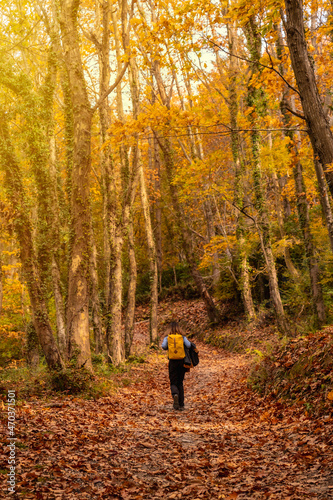 A young woman on a path of trees towards Mount Erlaitz in autumn in the town of Irun, Gipuzkoa. Basque Country