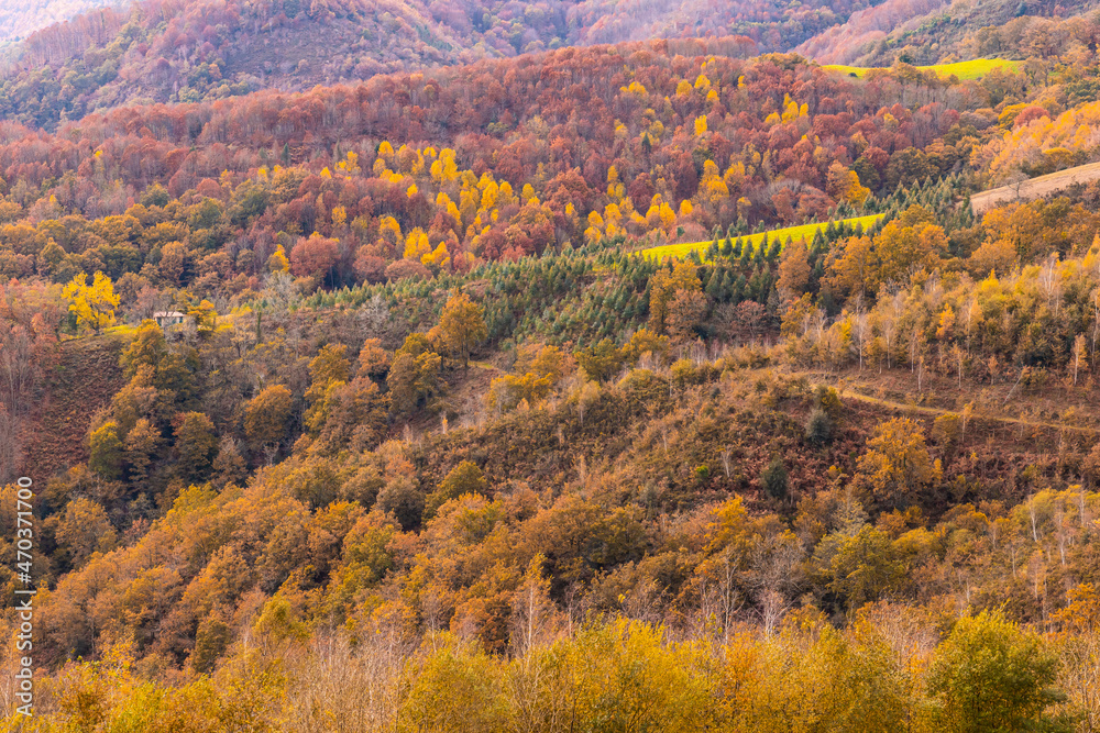 View of Mount Peñas de Aya and Aiako Harria in autumn from Mount Erlaitz in the town of Irun, Gipuzkoa. Basque Country