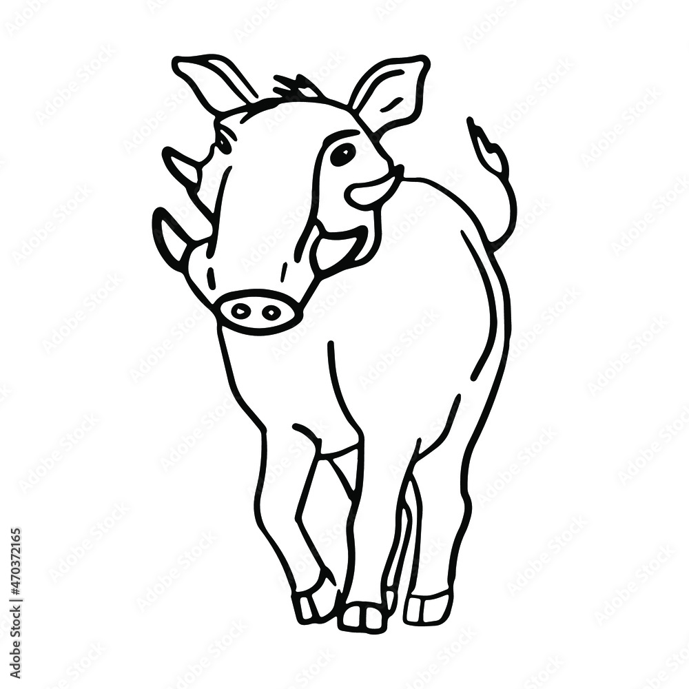 Warthog boar in doodle style. Isolated vector.