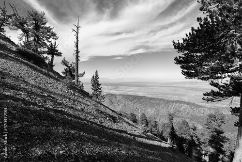 Black and white view of the...