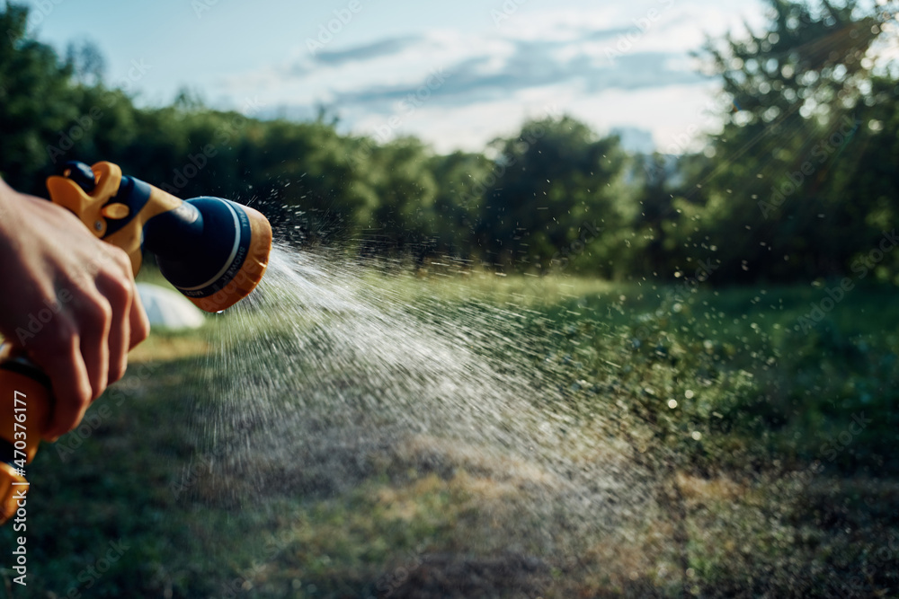 plant watering garden plantation summer cultivation nature plant watering garden plantation summer cultivation nature