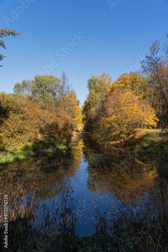 Multicolored trees next to the pond in autumn in sunny weather.