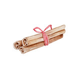 Watercolor Christmas illustration of a cinnamon stick