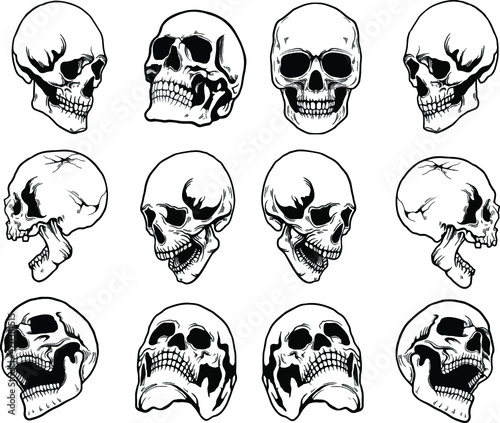 set of skulls