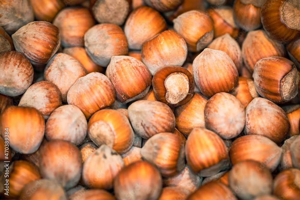 Close up hazelnuts. Hazelnut composition and backgorund. 